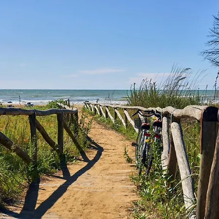 Beachside Comfort In A Great Location Apartment