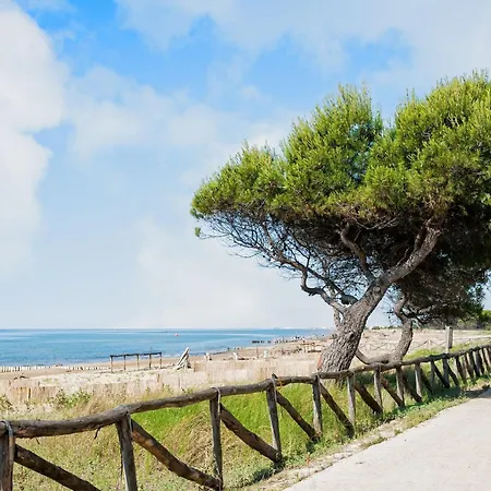 Beachside Comfort In A Great Location Apartment